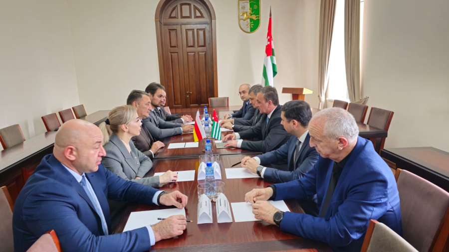 Владимир Делба встретился с председателем Правительства Южной Осетии Константином Джуссоевым