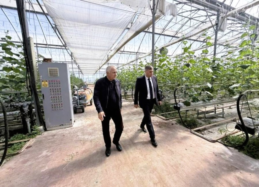 Вице-премьер Вараздат Миносян посетил ряд аграрных предприятий