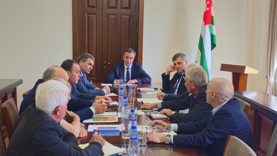 Премьер-министр провел совещание по проблеме распространения мраморного клопа