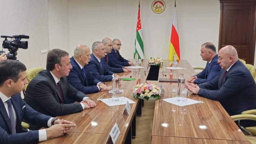 Владимир Делба принял участие во встрече с президентом Южной Осетии